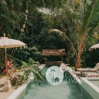 The Bamboo Villa Gallery