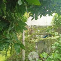 LAND FOR SALE LEASEHOLD 350 SQM  IN FAMOUS BERAWA AREA Gallery