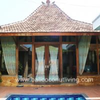 Villa Banana 1 Gallery