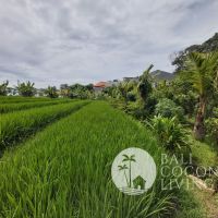 10 Are Land For Lease Gallery