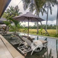 Villa Arana Gallery