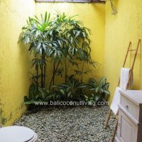 Villa Pito Gallery