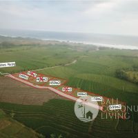 5 Are Land In Tabanan Gallery