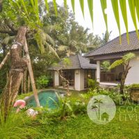 Zen Garden Villa Gallery