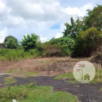 For sale 600 sqm land Gallery