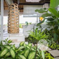 Honey Moon Villa  Gallery