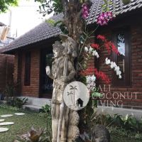 Villa Audi Gallery