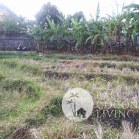 Villa Sanjaya 1 Gallery