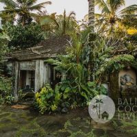 The Vintage House Gallery