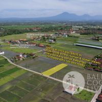 10,42 Are Land For Sale Kedungu - Tabanan Gallery