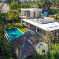 Villa Blue Ivy Gallery