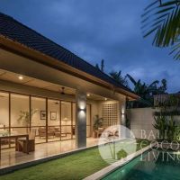 Villa Electra Gallery