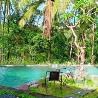 Zen Garden Villa Gallery