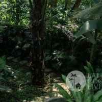 The Vintage House Gallery