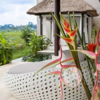 Honey Moon Villa  Gallery