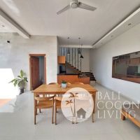 Villa Pineapple 2 Gallery