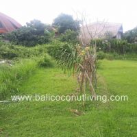 Land For Lease Umalas 3 are  Gallery