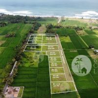 Land For Sale - Tabanan Gallery