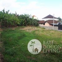 Villa Sanjaya 1 Gallery